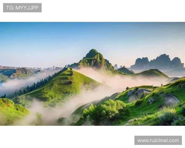 开运平台为你带来每日好运，开启幸福生活的秘密武器